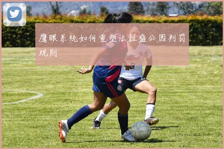 鹰眼系统如何重塑法拉盛公园判罚规则