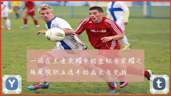 一诺在王者荣耀中的坚韧与荣耀之路展现职业选手的成长与坚持