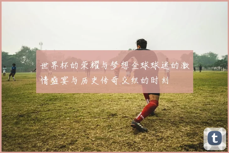 世界杯的荣耀与梦想全球球迷的激情盛宴与历史传奇交织的时刻