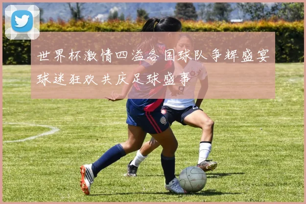 世界杯激情四溢各国球队争辉盛宴球迷狂欢共庆足球盛事