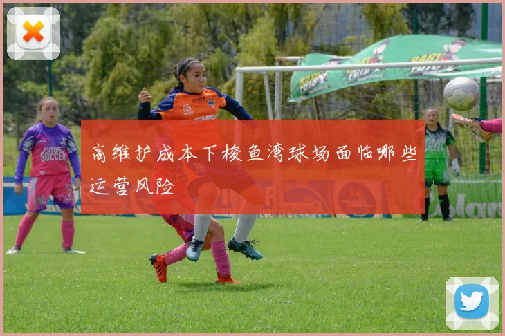 高维护成本下梭鱼湾球场面临哪些运营风险
