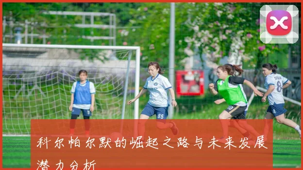 科尔帕尔默的崛起之路与未来发展潜力分析