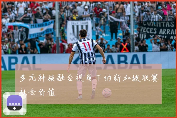 多元种族融合视角下的新加坡联赛社会价值